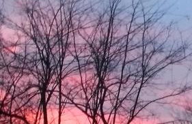 Il Paradiso all'improvviso - Photo 8