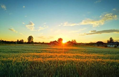 Apartamenty EXPO Nadarzyn 3Rooms - Photo 56