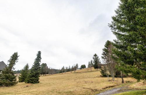 Ferienhaus Schneider Todtnauberg - Foto 30