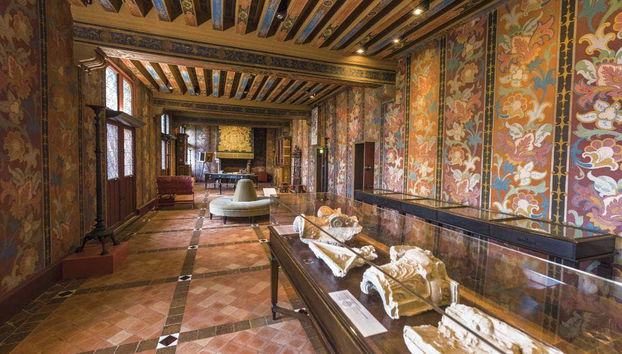 Billet coupe-file pour le château de Blois - Photo 3