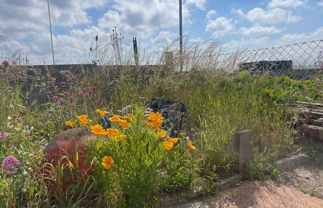 Fisherman s Croft Your Dream Getaway Awaits - Foto 29