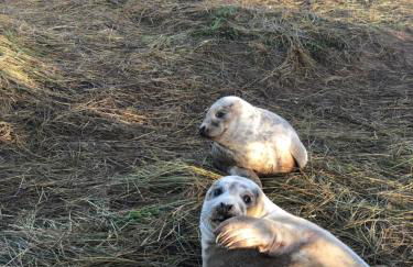Church Farm, Legbourne Louth - Foto 48