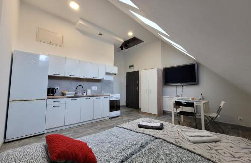 Apartamenty Parkowe nr 8 - Foto 2