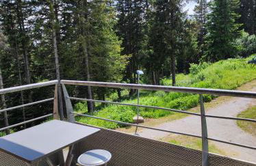 Chamrousse 1700 - Les Domaines de LArselle- Silènes C23 - Classé 3 étoiles - Foto 4