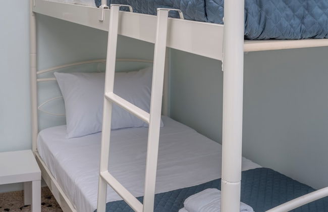 Dodonis BLD - Foto 27