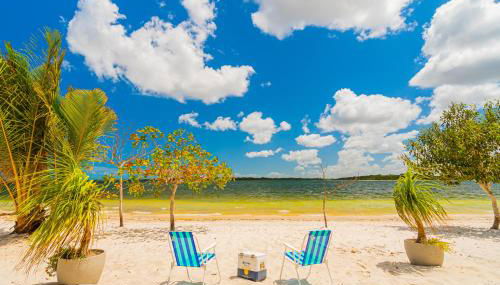 Villa Papagaio - Foto 3