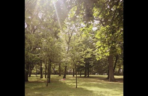 SURFKAJÜTE - Ferienwohnung in Warnemünde - Foto 56