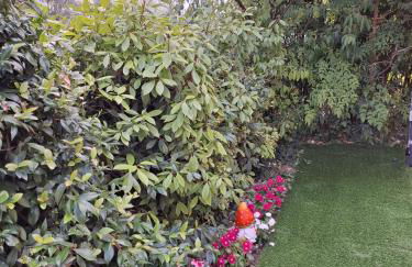 Once Upon a Time - Foto 50