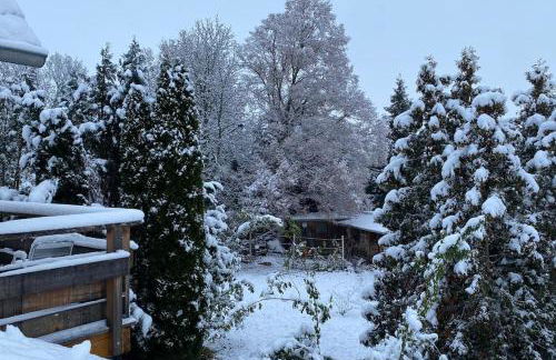 Wohnung im Grünen, Haus Cara, 120m², 4 Zi, Kü, Bad - Foto 35