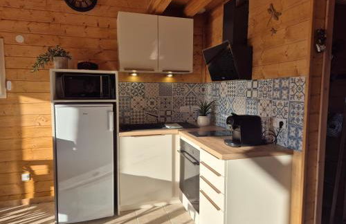 Le chalet du bord de Saône - Foto 4