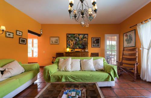 La Alpispa - Foto 29