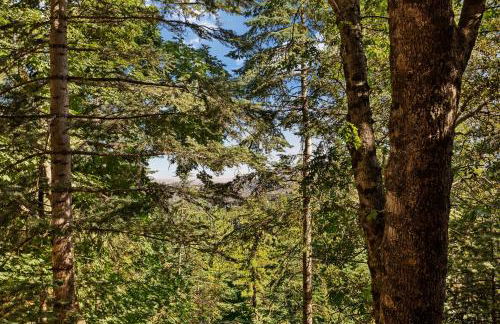 Cute Romantic Cabin With Hot Tub 5 Min from Lake - Foto 31