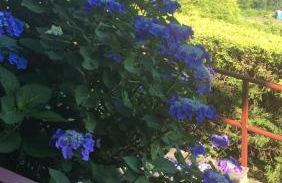 Residenza vista lago mozzafiato - Photo 8