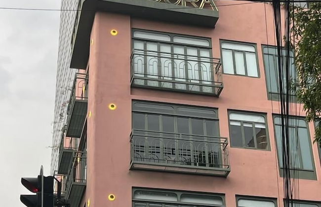 Pandora House - Foto 1