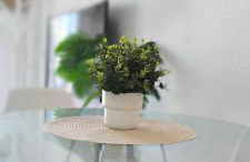 Apartamento vacacional Antares Lo pagan - Foto 10