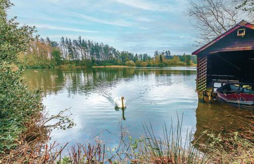 Shellrigg - Uk49891 - Foto 12