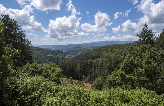 Agriturismo Poggio di Montepescoli - Il Noce - Foto 31