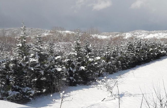 Vira Garden House - Foto 71