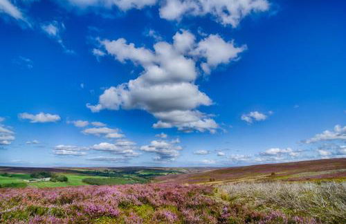 Experience the Peace & Quiet in the North York Moors at Rawcliffe House Farm - Foto 55