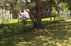 Sea the Blue Garden SPA Odargowo - Foto 18