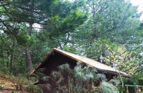 La cabaña del lago en ZAFIRO LAGUNAZO Parque Natural del Río Mundo - Foto 26