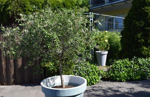 Ferienwohnung Ahrtalblick - Foto 81