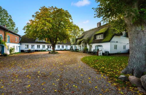 Dornröschen 1 - Foto 31