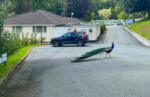 The Bungalow - Photo 31