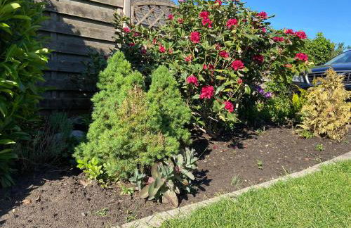 Ferienhaus Wacholderhain - Foto 37