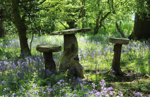 Oskar's Shepherd's Hut at Snug Hollow - Foto 12