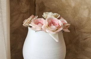 Mi Limón mi limonero - Foto 34