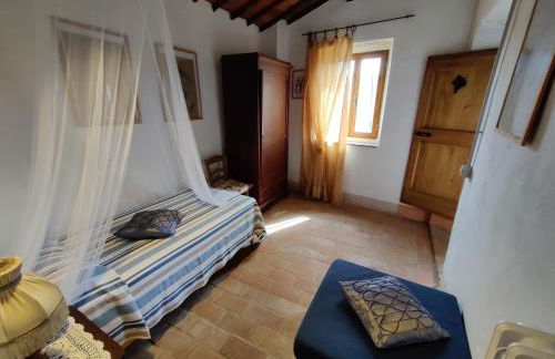 Agriturismo Podere Tegline - Foto 78