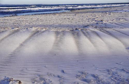 Frühlingserwachen im Haus Wassermann - Foto 35