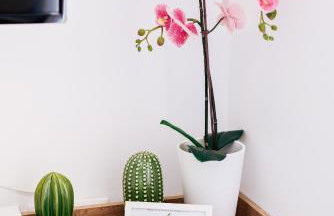 Oliva Holiday Homes - Foto 56