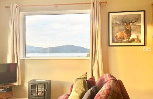 Ash, Birch and Rowan Self Catering Cabins - Photo 14