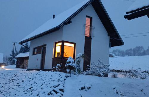 Lisia Norka - Foto 3