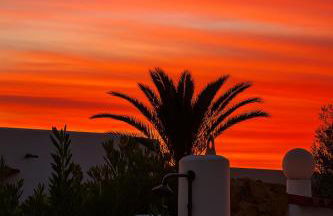 Menorca Palm Villa - Foto 13