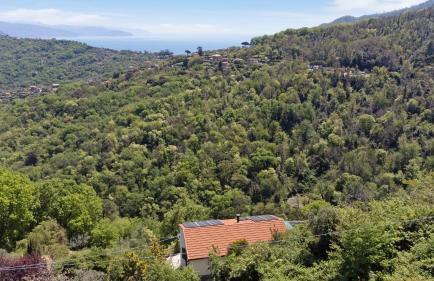 Fattorialmare Blu - Foto 11