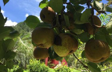 Linda casa em Mury,com riacho e lareira - Foto 43