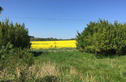 Appartement auf Rügen - Foto 66