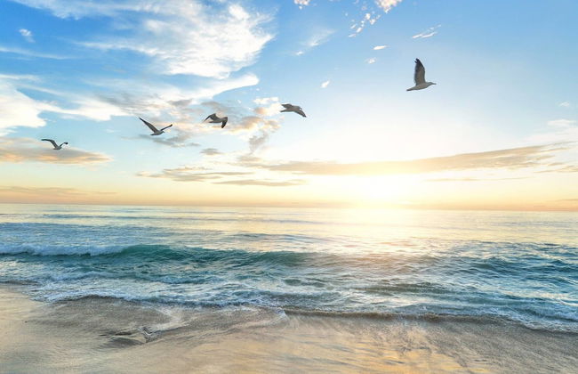 Pelican Gardens 7 By Lido Beach - Foto 42