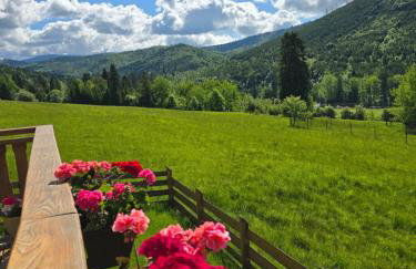 Hasiorówka Dom w górach z jacuzzi w cenie - Foto 13