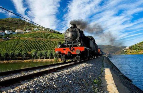 Sobreiro's Villa in Douro Valley - Photo 46