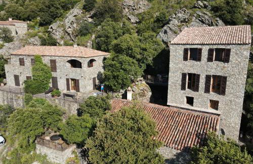 Campu Latinu - Foto 2