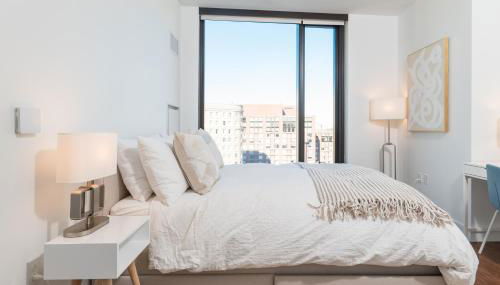 Luxury 2BR BackBay Boston Common T-station Roof Top Lounge Gym - Photo 3