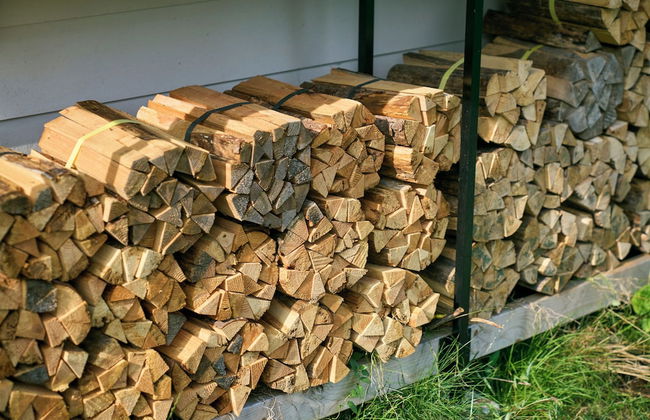 VILLA SAISON FUJI - Foto 78