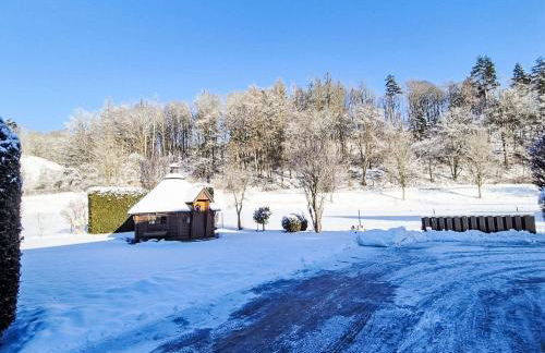 Apartment Naturnah mit Pool und Sauna by Interhome - Foto 26