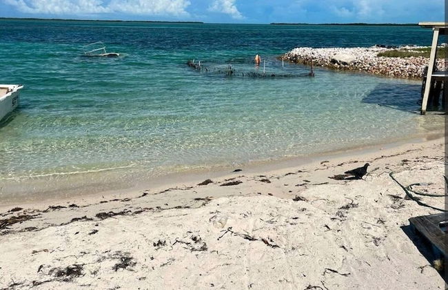 Dames Getaway Bimini - Foto 4