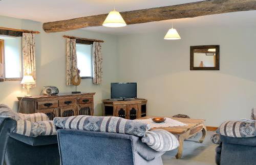 Chive - E4326 - Foto 2