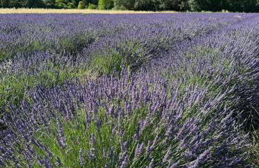 Appartement neuf et au calme proche Avignon - Foto 31